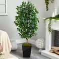 thumbnail image 3 of Nearly Natural 5' Ficus Artificial Tree in Black Metal Planter, 3 of 4