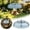 Blue, variant on Bird Feeder Rain Guard Squirrel Baffle Dome Cover - Protective Weather Shield for Hanging Feeders - Bird Supplies Garden Accessories for Outdoor Yard Patio 9.8"x4.7" (Clear)