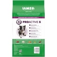 thumbnail image 2 of IAMS Proactive Health Adult MiniChunks Beef & Rice Recipe Dry Dog Food, 5 lb Bag, 2 of 9