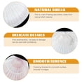 thumbnail image 2 of EeaseMX 10 conchas de vieira naturales a granel, conchas marinas para manualidades, conchas marinas naturales para cocinar, 2 of 8