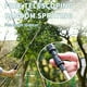 thumbnail image 5 of Pulverizador a Batería, Rociador Eléctrico para Plantas, Rociador de Jardín, Correa de Hombro Ajustable de Mano, Rociadores Multiusos para Césped de J diamante de verde mayimx Pulverizador eléctrico, 5 of 9