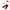 Red, variant on 2021 Newborn Baby Girl Christmas Clothes Set Letter Print Jumpsuit Tops Flared trousers Headband Xmas Baby Outfit Clothes