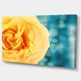 thumbnail image 2 of Rose Flower with Lit up Background - Large Floral Canvas Artwork, 2 of 3