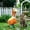 G, variant on Cififendec 4th of July Porch Goose Outfit, Patriotic USA Flag Themed Costume Set for 23" Goose Figurine Outdoor Yard Garden Independence Day Decor