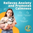 thumbnail image 4 of Heavenly Hounds Pet Anxiety Treat Bar, 4 of 7