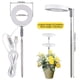 thumbnail image 2 of Luces de crecimiento de plantas de interior, luz LED de espectro completo para plantas de interior, luz de crecimiento ajustable en altura con brillo regulable, ideal para plantas pequeñas JAMW Sencillez, 2 of 5