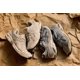 thumbnail image 2 of Asics GT-2160 Oyster GreyCarbon 1203A320 020 Unused, 2 of 6