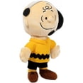 thumbnail image 2 of Snoopy in Space Charlie Brown Plush (Mission Control), 2 of 3