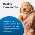 thumbnail image 6 of PetAg Esbilac Goat's Milk Powder Puppy Milk Replacer - Milk Formula for Puppies with Sensitive Digestive Systems - 5.25 oz, 6 of 7