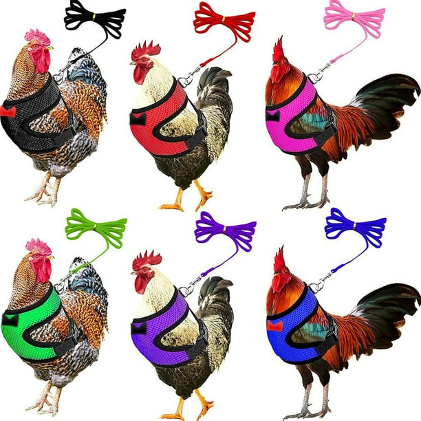Correa de Nailon para Pollos, para Aves de Corral, Ajustable y Transpirable, Cómoda para Pollos, Gansos y Patos, Fácil de Usar, Ligera, para Entrenamiento Al Aire Libre, Color Negro, 1 Unidad