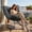 Gray, variant on Senfot Outdoor Rocking Chair - 350lbs Capacity Metal Frame Rocker, Waterproof Cushion for Patio & Indoor Lounge, Garden, Living Room Gray