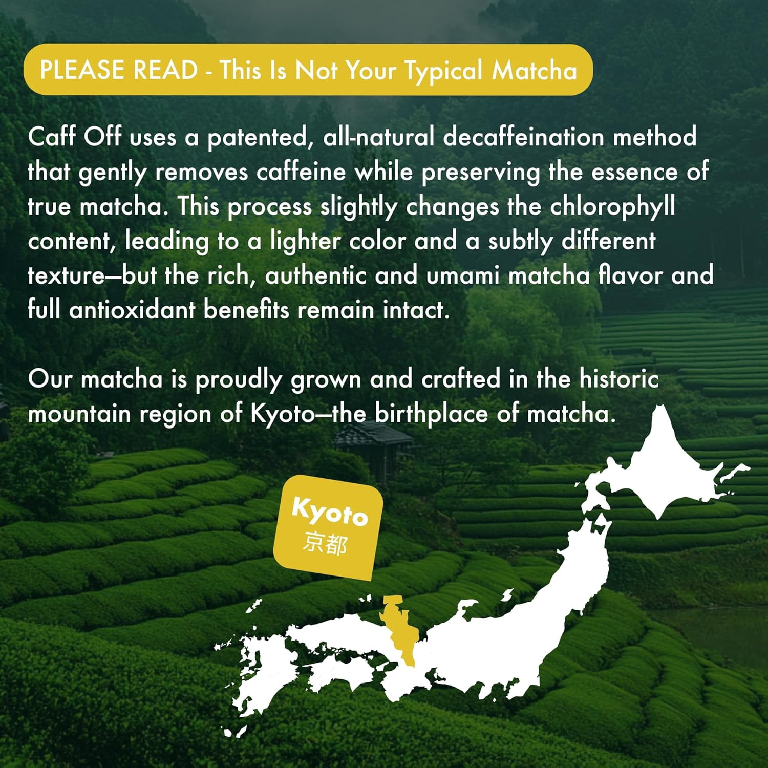 Decaf Lemon Matcha from Japan 1.06 oz – Ceremonial Grade, Sugar Free, Heavy Metals Tested