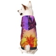 thumbnail image 1 of Fotbe Palm Trees at Sunset Sudadera con Estampado para Perros Pequeños – Suéter con Capucha para Mascotas, Tela Suave de Forro Polar con Bolsillo-Small, 1 of 7