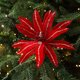 thumbnail image 1 of Flores navideñas de tela | Decoraciones florales artificiales secas | Adornos colgantes rojos y verdes para árboles de Navidad y fiestas, 1 of 5