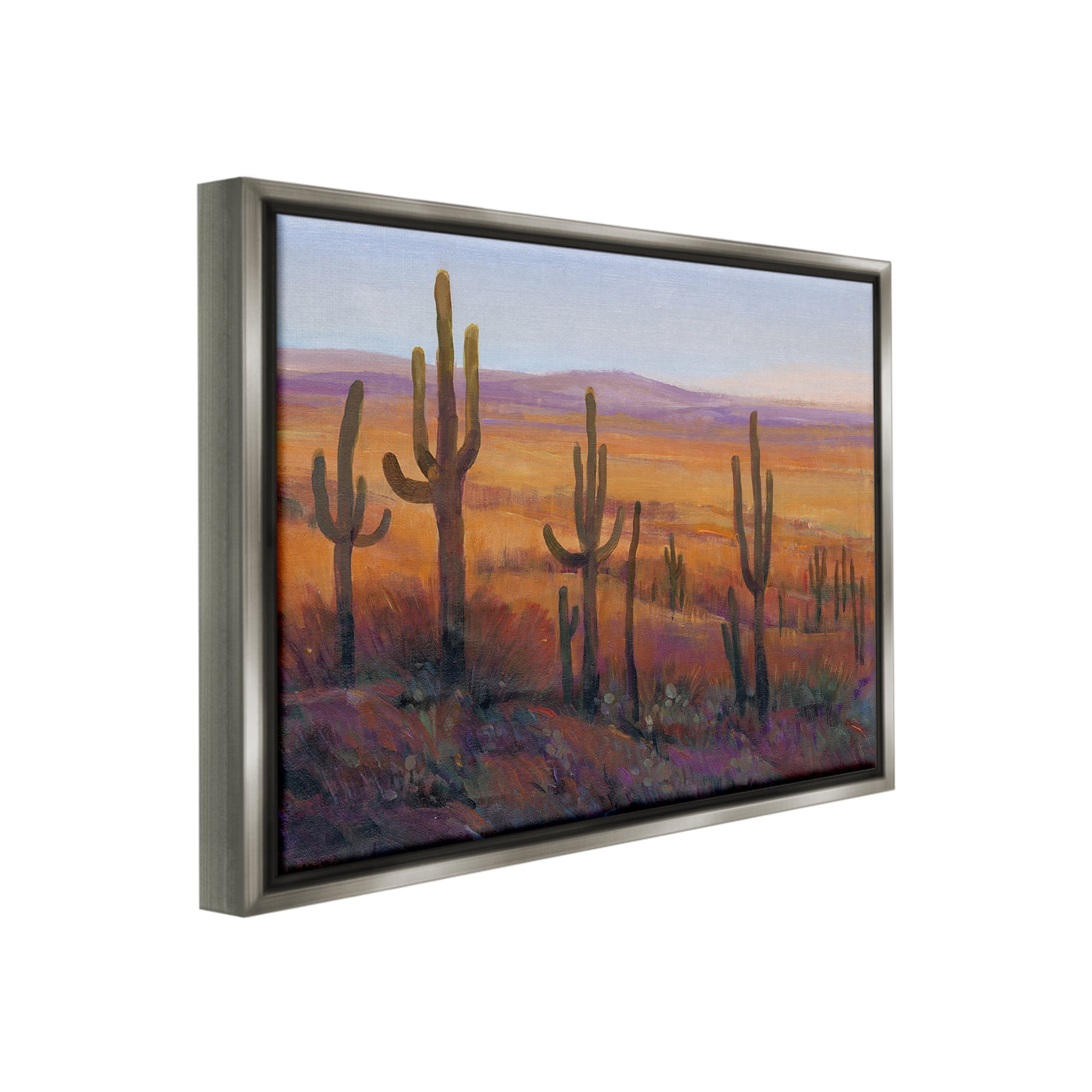 Stupell Industries Desert Cactus Plants Landscape Painting Gray Floater Framed Canvas Art Print Wall Art, 31 x 25