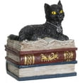 thumbnail image 4 of Magic Wiccan Boîte de Décoration de Figurines en Résine de Chat Noir, 4 of 5