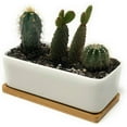 thumbnail image 4 of Rectangular Long White Ceramic Succulent Planter Pot with Drainage Hole and Bamboo Saucer, 4 of 4