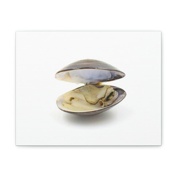 Clam Hunting Clam on Hunt Print Animal Wall Art Wildlife Canvas Prints Wall Art Ready to Hang Unframed