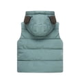 thumbnail image 2 of YUANYU Toddler Kids Little Boy Girl Hooded Cotton Padded Puffer Vest Jacket Warm Waistcoat, 2 of 9