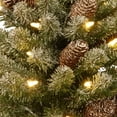 thumbnail image 3 of National Tree Company 2 ft. Snowy Concolor Fir Tree with LED Lights, 3 of 5