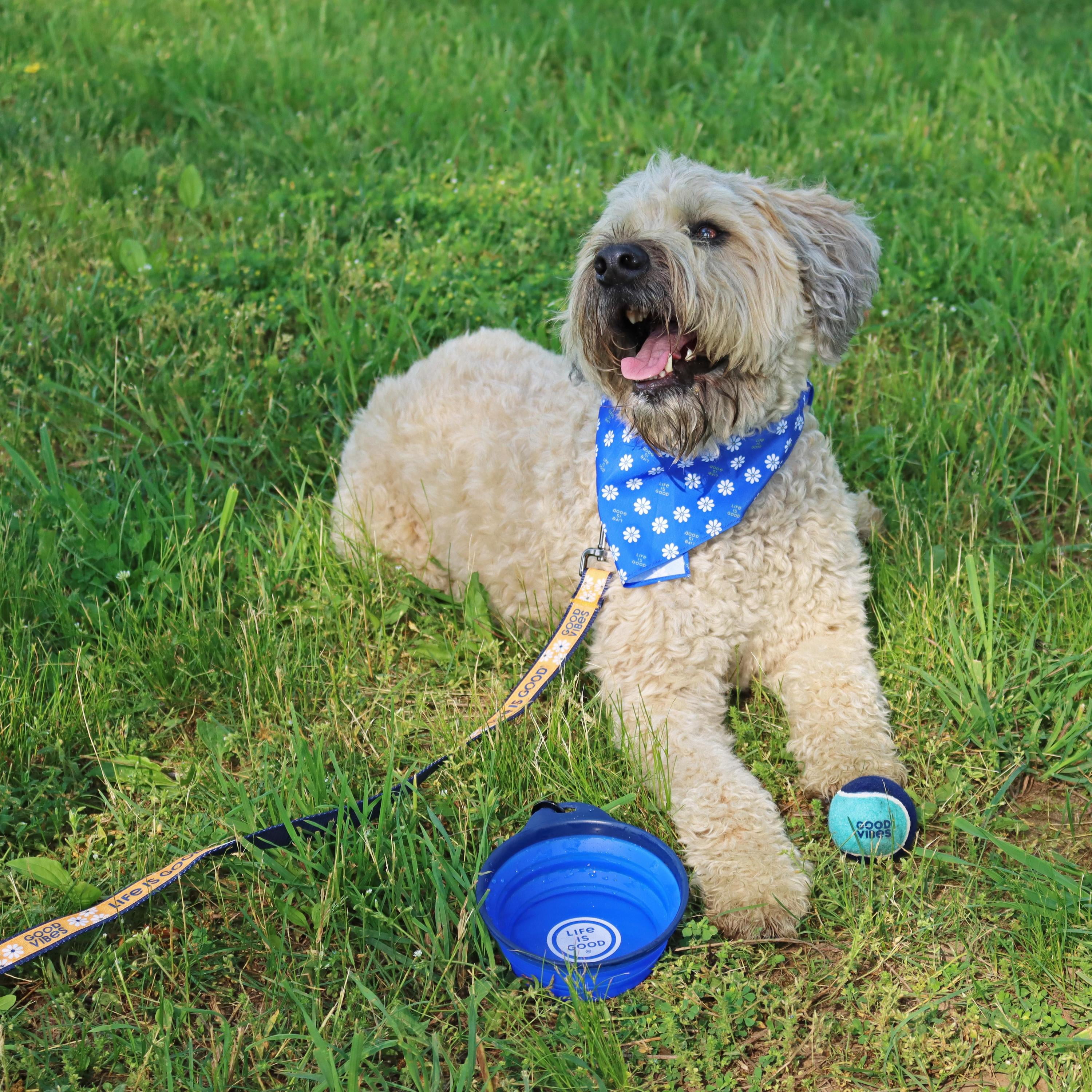 Life is Good® Pet Travel Bowl for Dogs and Cats, Blue, 20 oz (Small - Medium - Large)