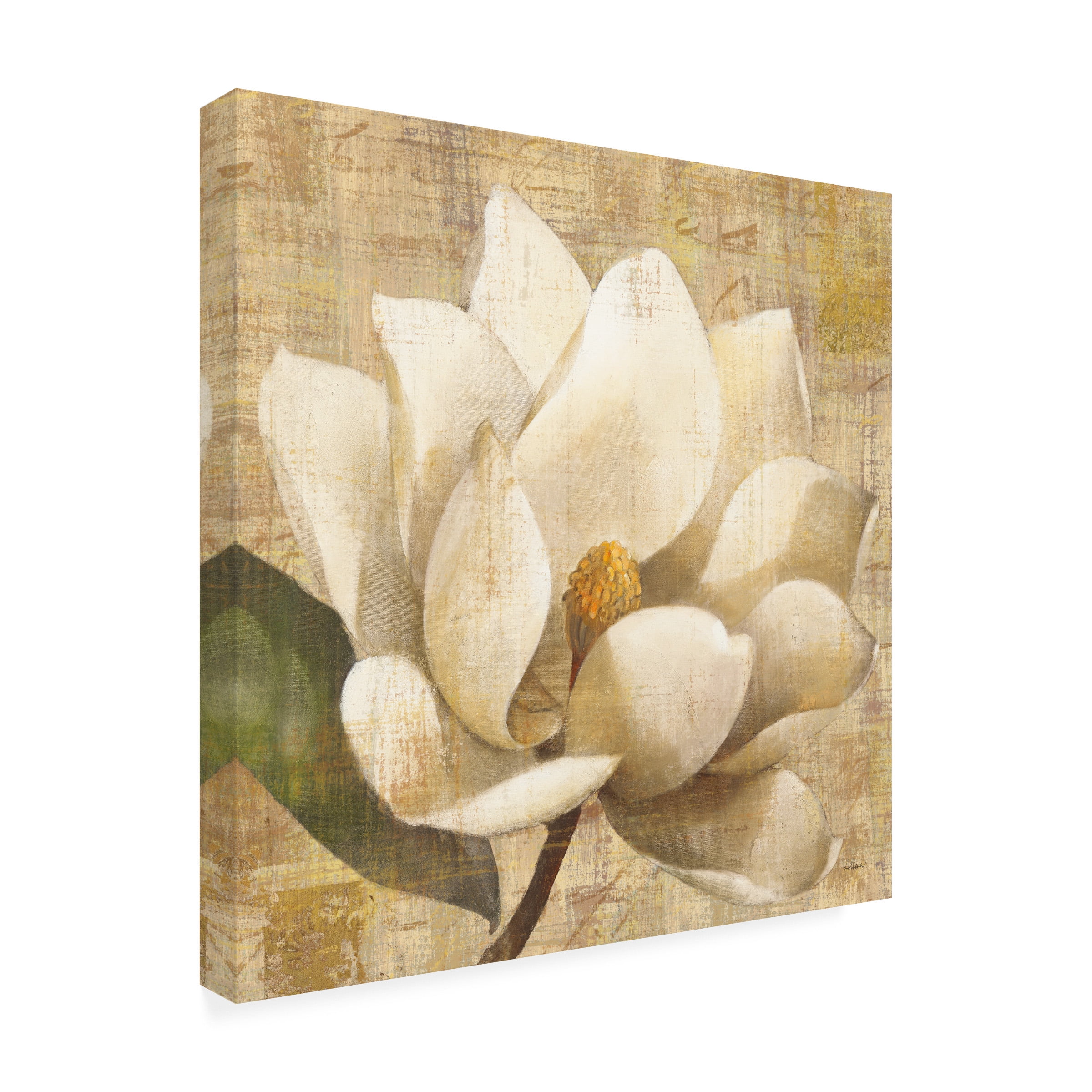 Trademark Fine Art 'Magnolia Blossom on Script' Canvas Art by Albena Hristova
