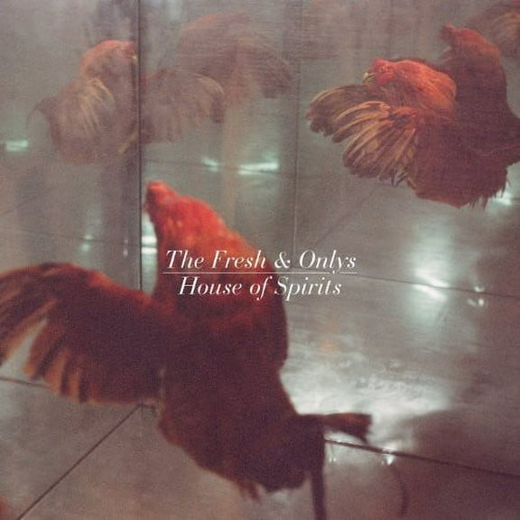 The Fresh & Onlys - House of Spirits - Rock - Vinyl