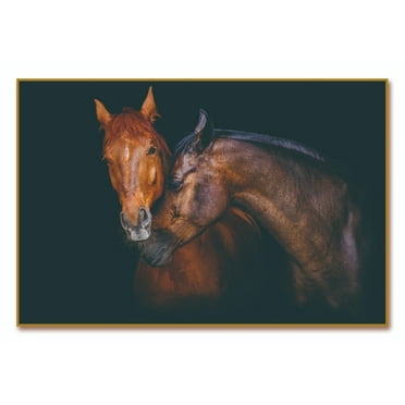 Oppidan Home "Horses Caressing" Acrylic Wall Art (40"H X 60"W)