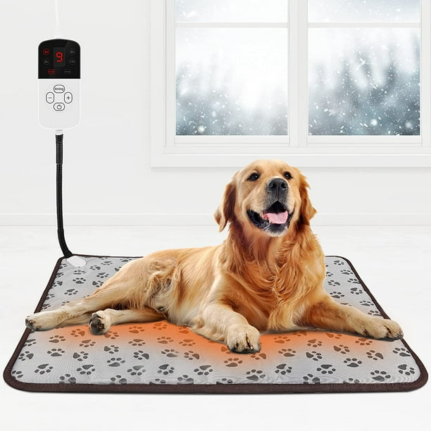 Dogs and heating pads sales