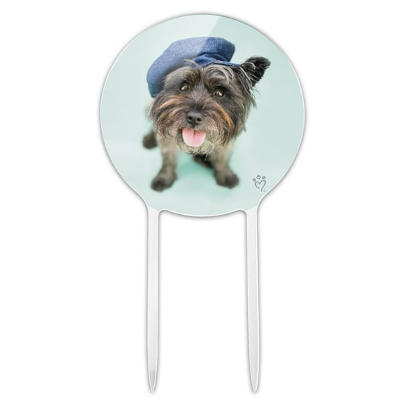 Acrylic Terrier Puppy Dog Nice Cap Hat Cake Topper Party Decoration for Wedding Anniversary Birthday Graduation