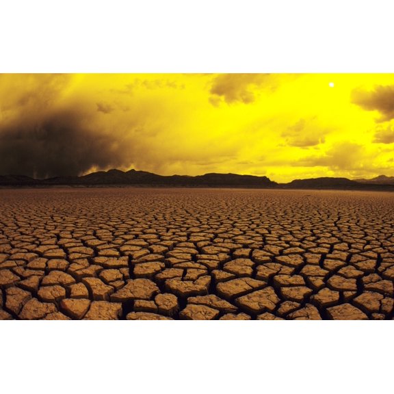 USA California Cracked mud in dry lake bed in warm afternoon lighting El Mirage Canvas Art - Larry Dale Gordon  Design Pics (34 x 22)