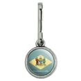 thumbnail image 1 of Delaware State Flag Antiqued Charm Clothes Purse Suitcase Backpack Zipper Pull Aid, 1 of 4