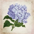 thumbnail image 2 of Bluebird Barn 12x12 White Modern Wood Framed Museum Art Print Titled - Vintage Lilac, 2 of 4