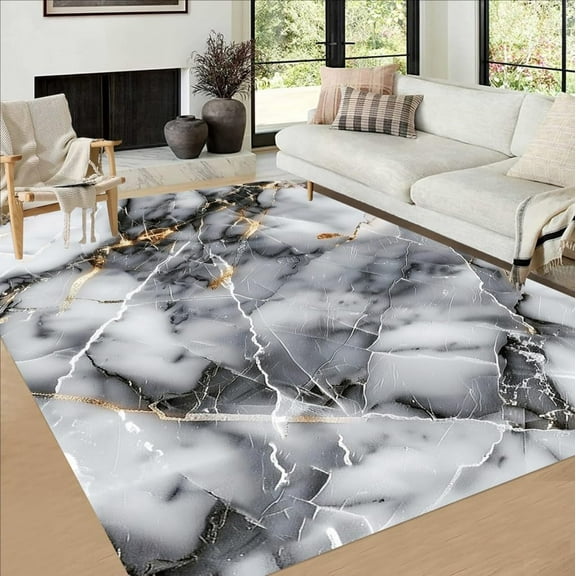 Marble Design Texture Black Grey Rug For Living Room Bedroom Diningroom Home Office Fluffy Large Carpet Modern Abstract Aesthetic Hallway Kitchen Bathroom Washable Area Rugs 3x4ft