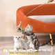thumbnail image 4 of Varita retráctil ③ en ① para gatos BEBOBLY con plumas y campana, 4 of 7