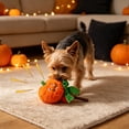 thumbnail image 6 of Qocolcyl Halloween Pet Chew Toy, Squeaky Teething Plaything For Dogs Cats, Spooky Holiday Designs Soft Material Built In Voice Relieve Pet Boredom, 6 of 6