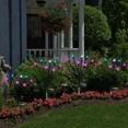 thumbnail image 3 of Lampara Solar Jardin Luz De Luciérnaga Led 12 Luces 2 Pack, 3 of 8
