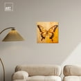 thumbnail image 3 of Golden Ochre Butterfly Elegant Butterfly Canvas Wall Art by Art Remedy, Gallery Wrapped, 20"x20", 3 of 7