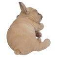thumbnail image 4 of Figura Hi-Line Gift Ltd., cachorro de bulldog francés, 18 cm, para interiores, 4 of 6