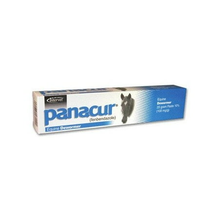 Panacur Paste Equine - Apple Cinnamon Flavor - Syringe (25 grams)