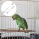 thumbnail image 4 of Billuyoard 2 uds loro mascota colgante pincho alimentador fruta titular comida palo portátil pájaros forrajeo juguete loros cacatúa jaula Suministros de alimentación y agua para mascotas Plata L, 4 of 6