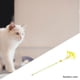 thumbnail image 4 of Gato burlas palo atractivo relajación plástico sonido crujiente con y campana interactivo para juguetes para exteriores suministro, 4 of 9