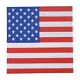 thumbnail image 2 of Aufmer Pack Of 20 Double Ply Festival Disposable Paper Napkins Light Portable Design Clear Printed Pattern For Independence Day Party Dining Table Auxiliary Decor, 2 of 9