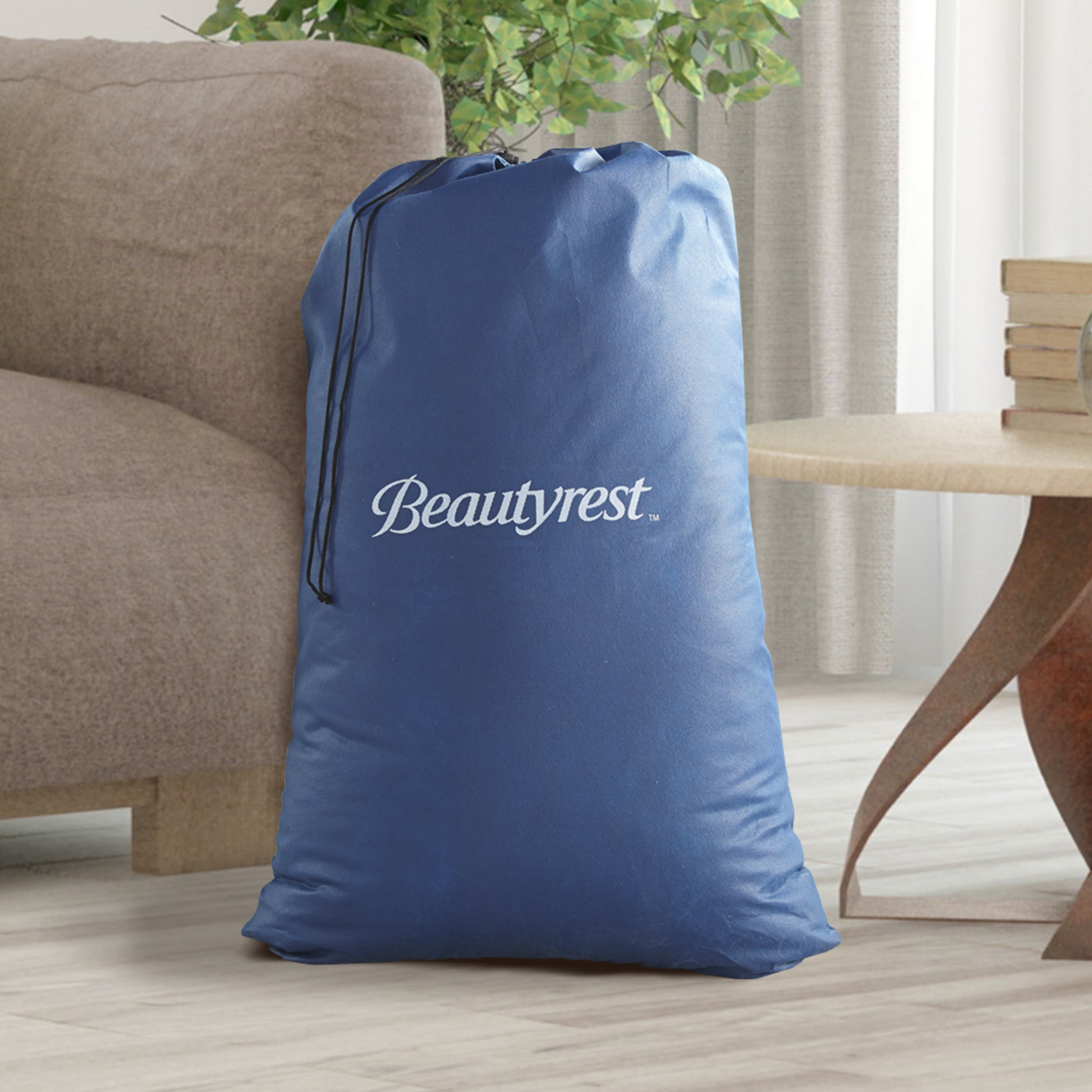 Beautyrest sky rise raised 2024 adjustable comfort coil and pump