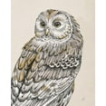 thumbnail image 2 of Brissonnet, Daphne 15x18 Gold Ornate Wood Framed with Double Matting Museum Art Print Titled - Beautiful Owls III Vintage, 2 of 4