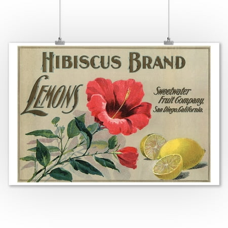 Crate & Barrel San Diego Hibiscus Brand - San Diego, California - Citrus Crate Label (9x12 Art Print, Wall Decor Travel Poster) ()
