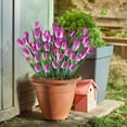 thumbnail image 4 of 6 Bundles Tulips Artificial Flowers Faux Tulip Flowers Realistic Silk Tulips Bouquets Arrangements Fake Flowers for Outside Wedding Garden Window Decor Purple 5 Heads/Bundle, 4 of 7