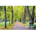 thumbnail image 3 of GreenDecor 7x5ft The Path of Falling Leaves Fall Photo Backdrop Photography Backdrop Background Studio Props, 3 of 5