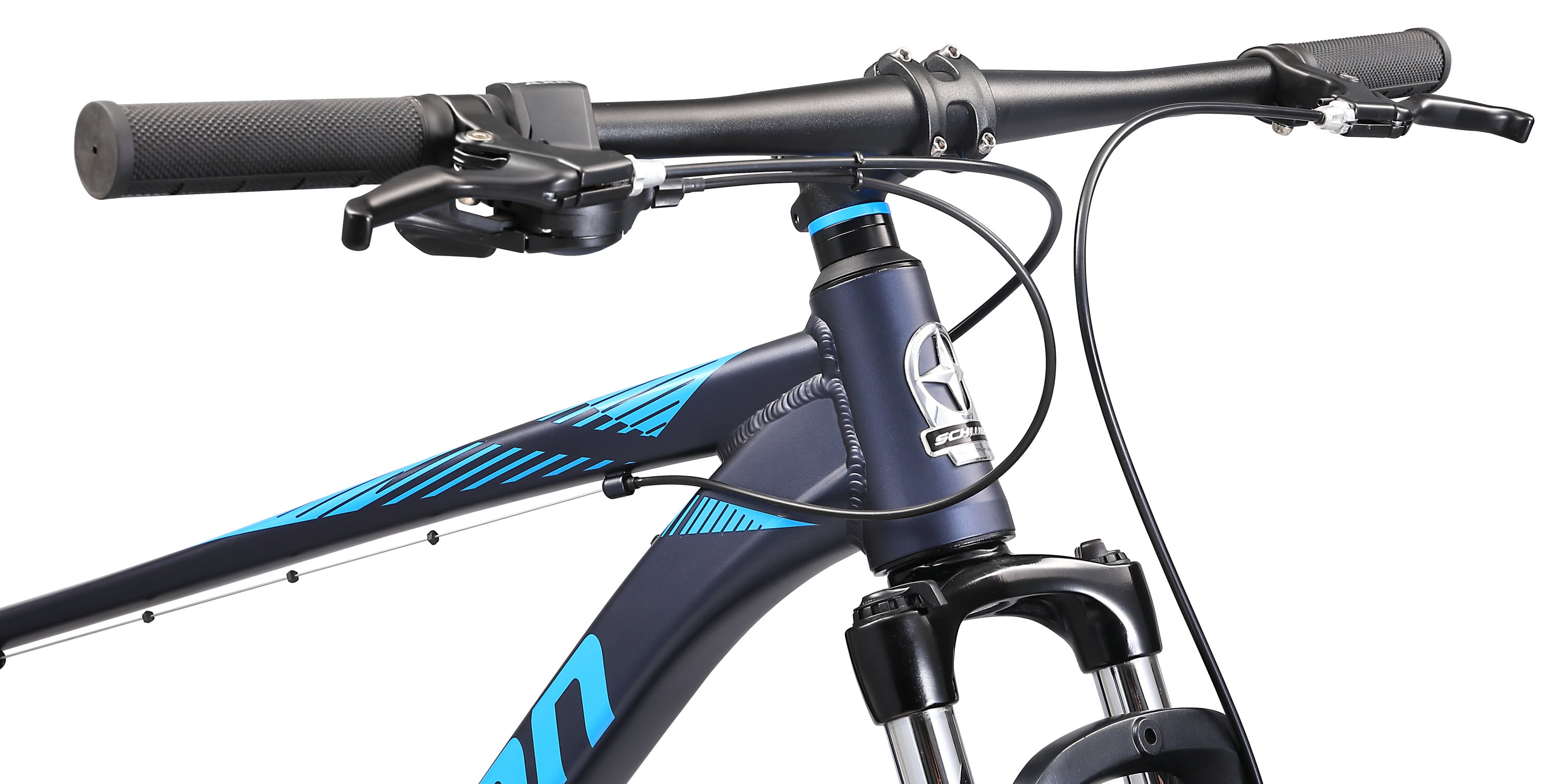 Schwinn 29