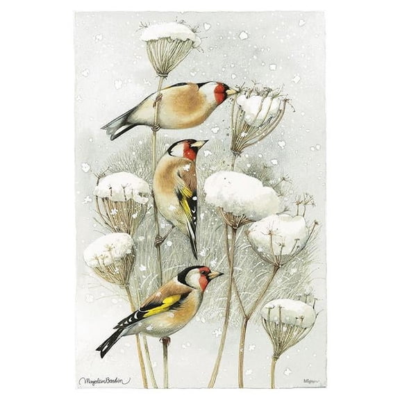 Marjolein Bastin (European Goldfinch) MightyPrint™ Wall Art MP17240394